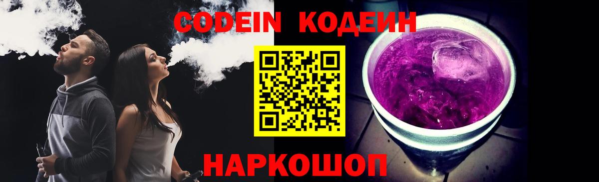 Лсд 25 Кропоткин