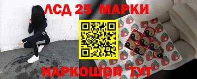 гидра Кандалакша