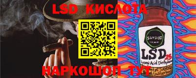 гидра Кандалакша