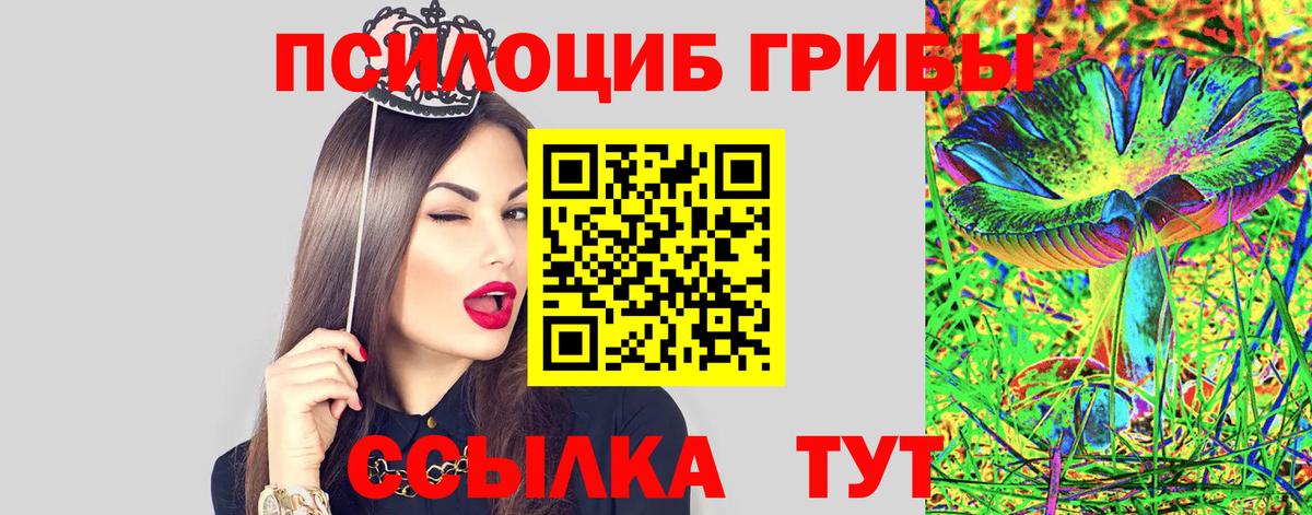 Кропоткин  Галлюциногенные грибы Cubensis  Галлюциногенные грибы прущие грибы  Вход с VPN 