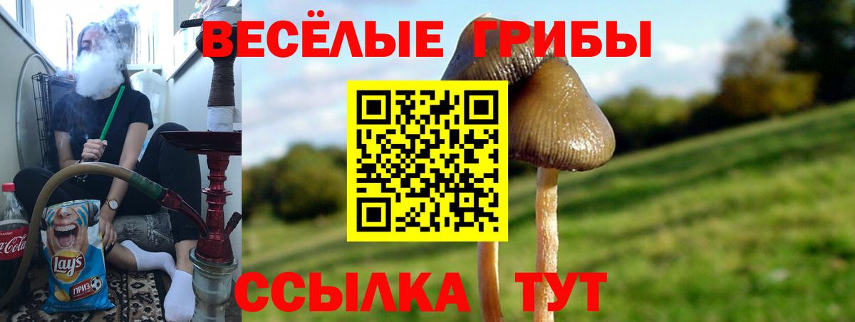 Псилоцибиновые грибы прущие грибы Кропоткин
